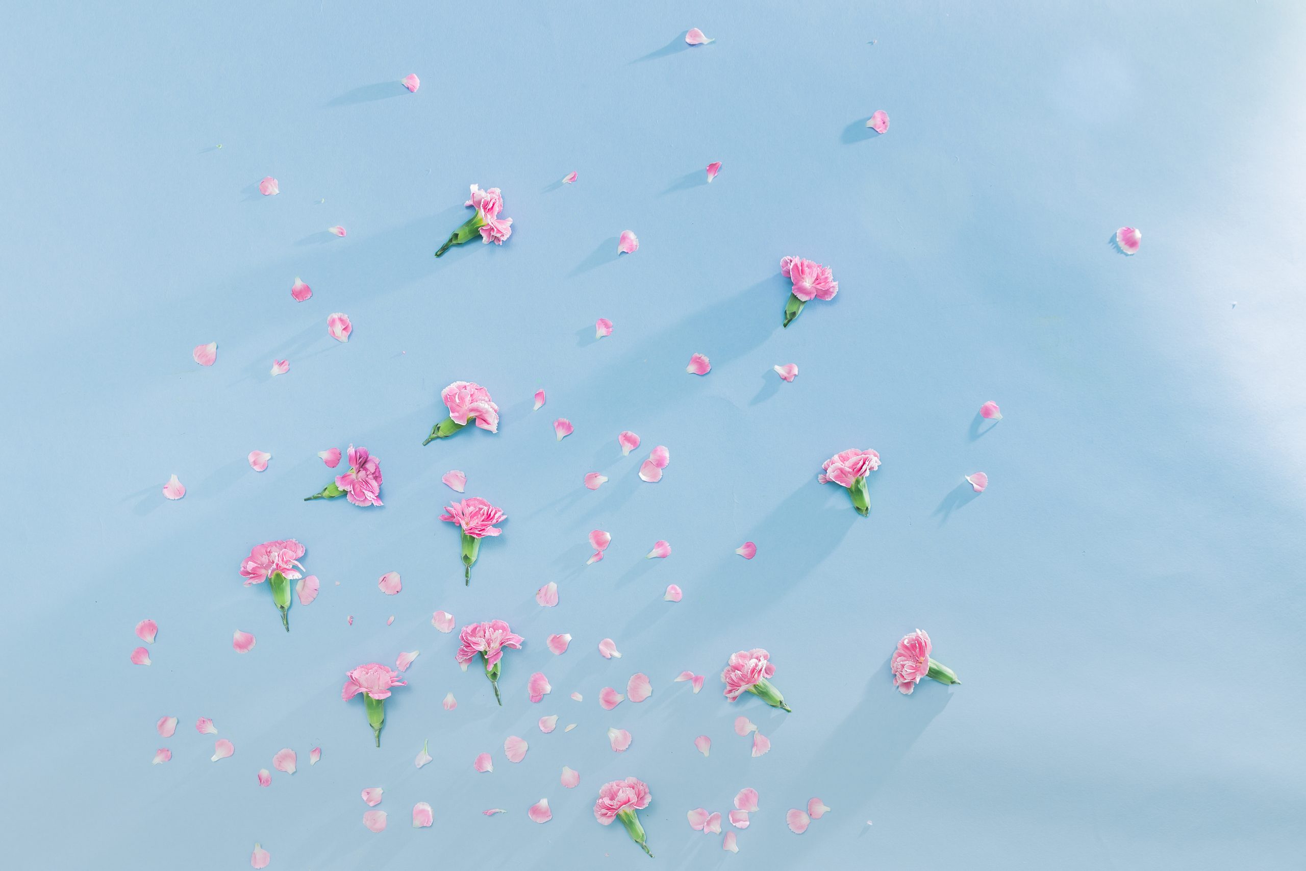 Finding Hope After My Parents’ Divorce