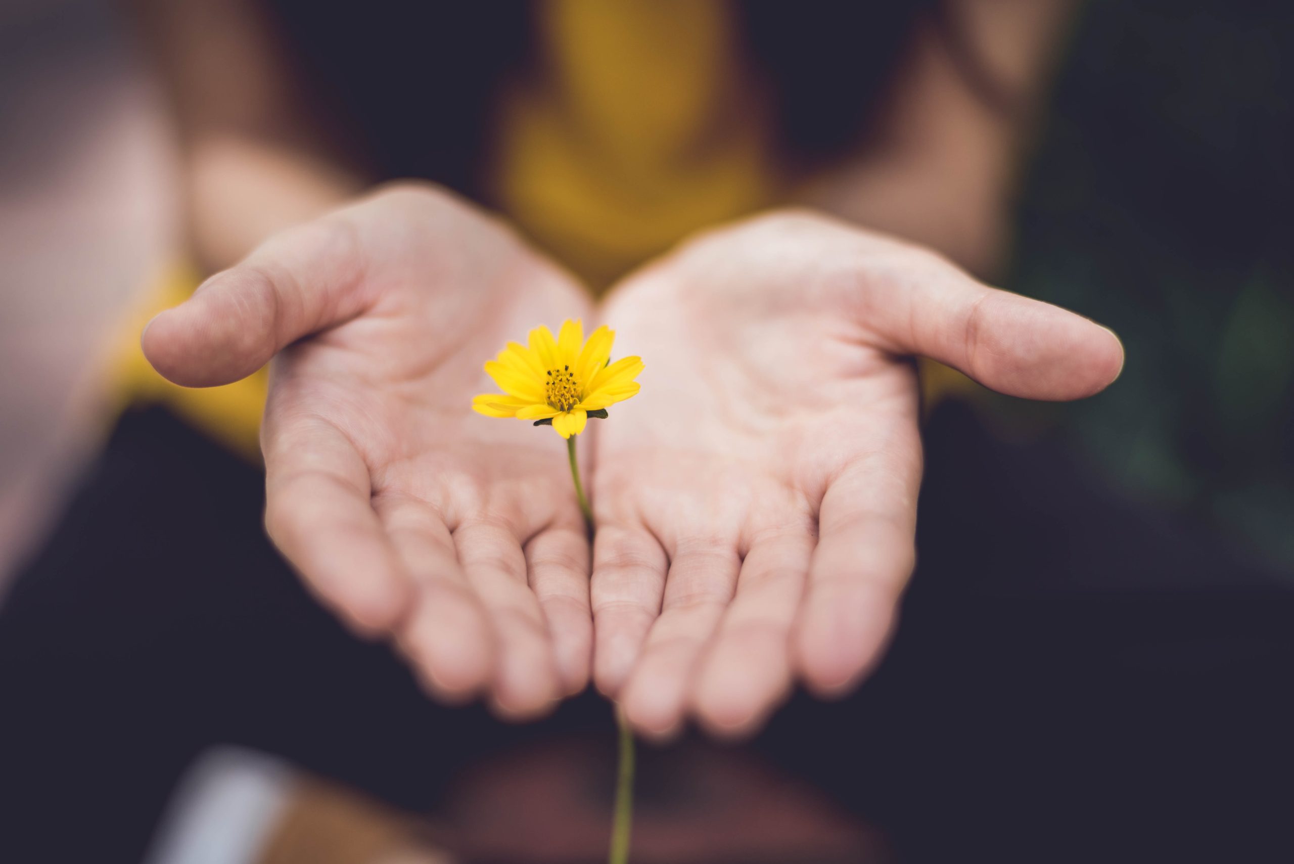 Forgiving Your Family