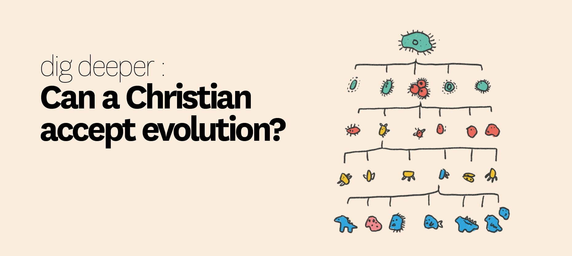 Can a Christian Accept Evolution?
