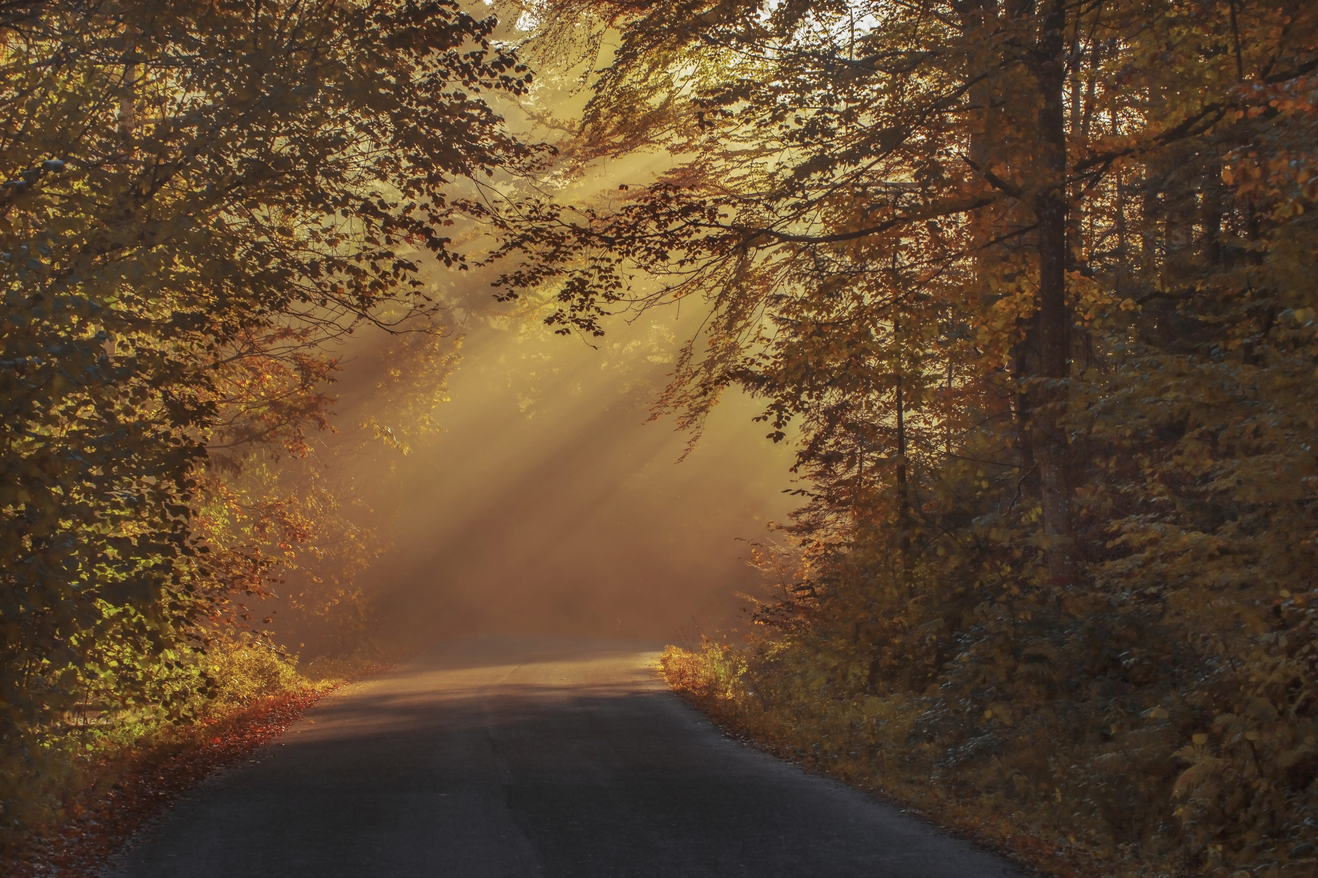 Staying Joyful In Transition