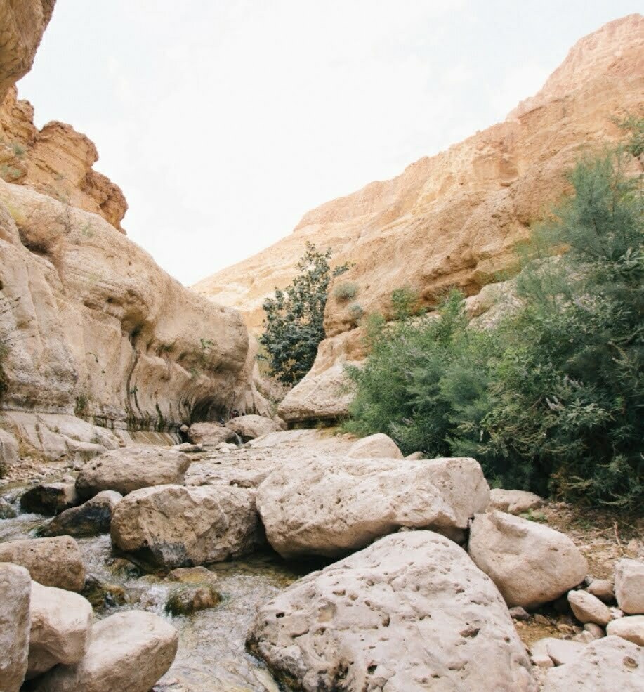 Dig Deeper: Did Jesus Really Exist?
