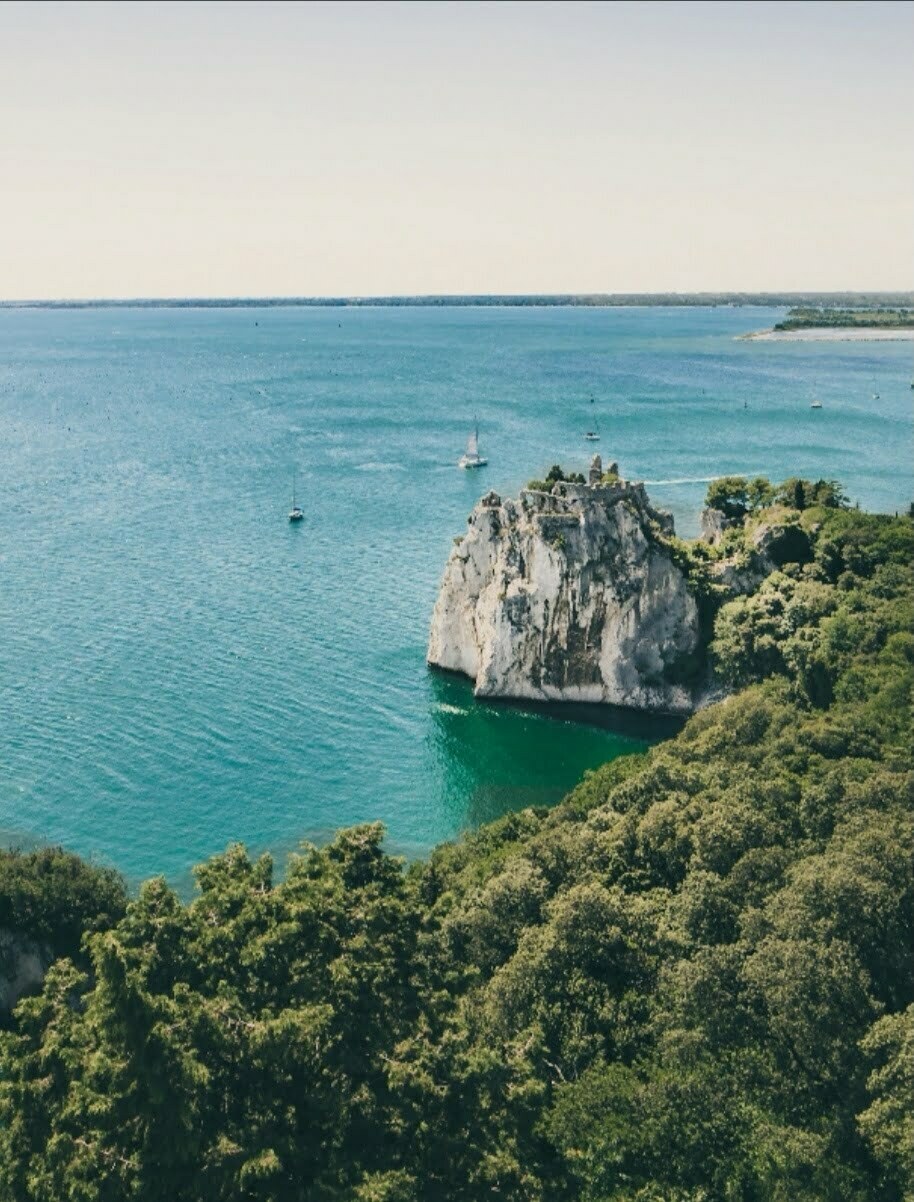 Out Of The Harbor